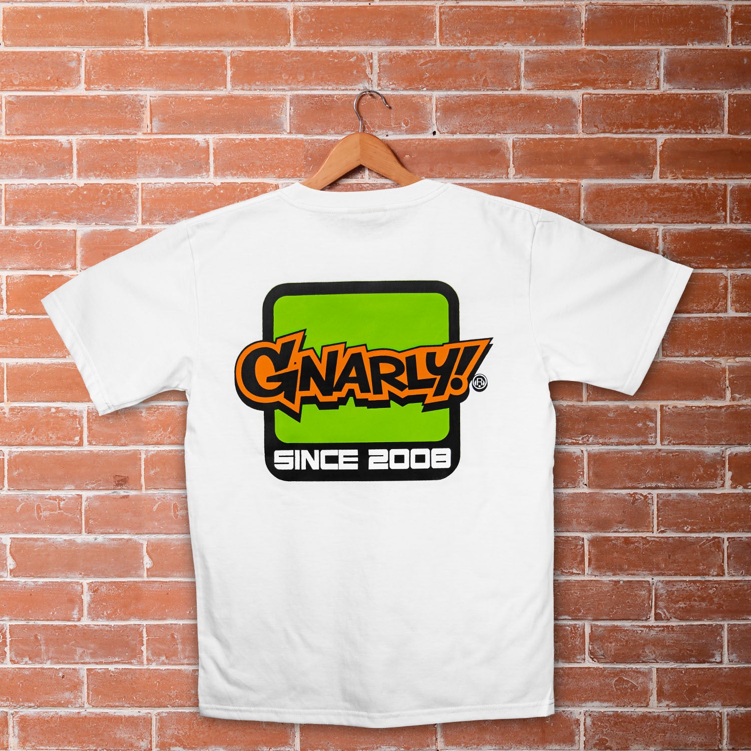 https://gnarly.clothing/cdn/shop/files/Gnarly_T-Shirt-PillarBack.jpg?v=1703137382